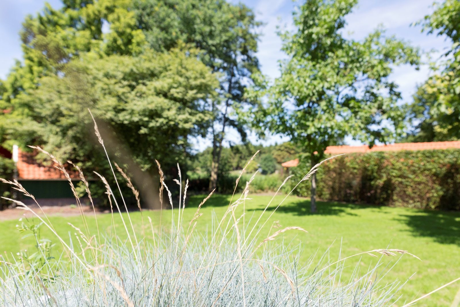 Onthaasten in de Achterhoek - vakantiehuis de Koolmees