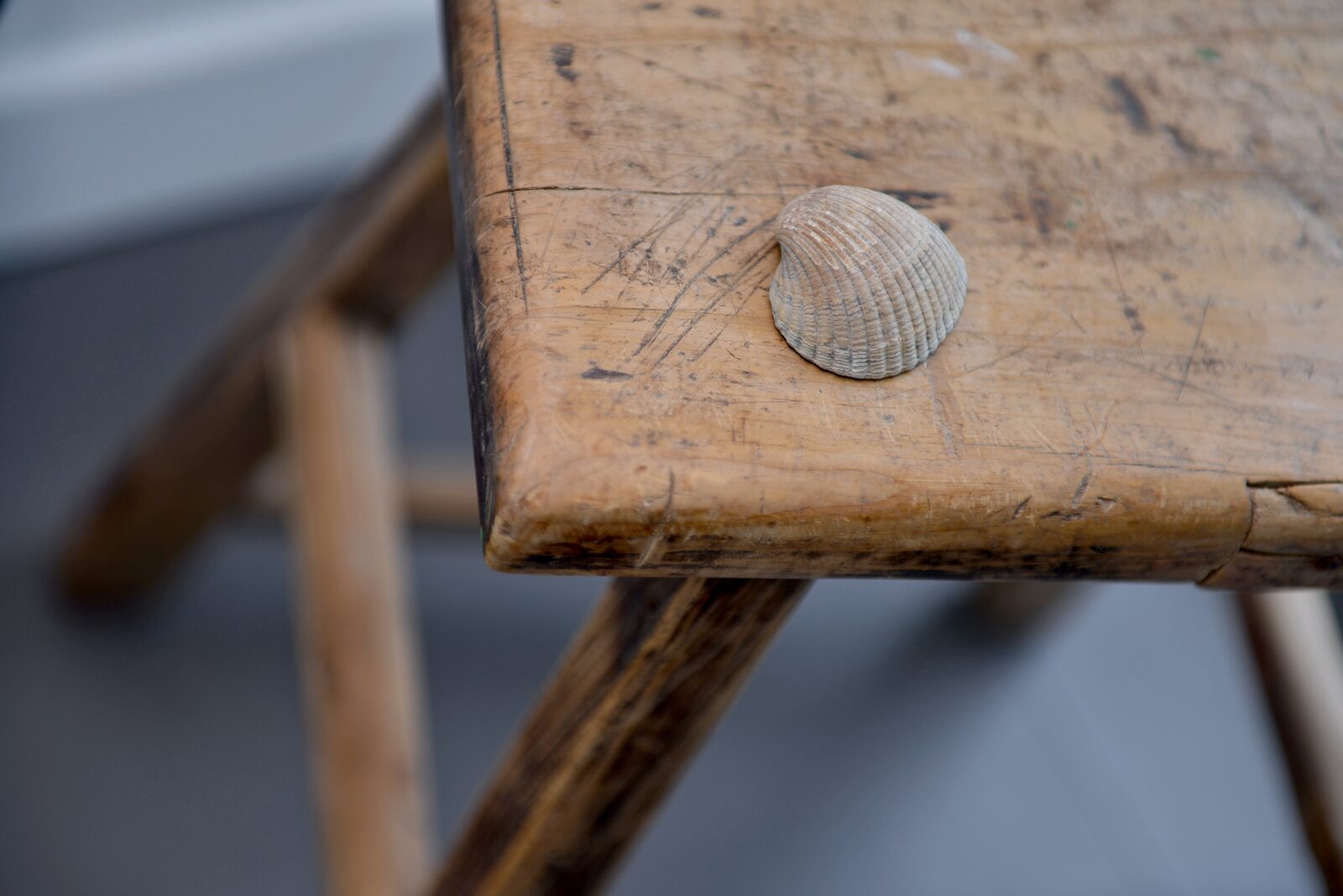 Waterlijn 16 | De Groote Duynen