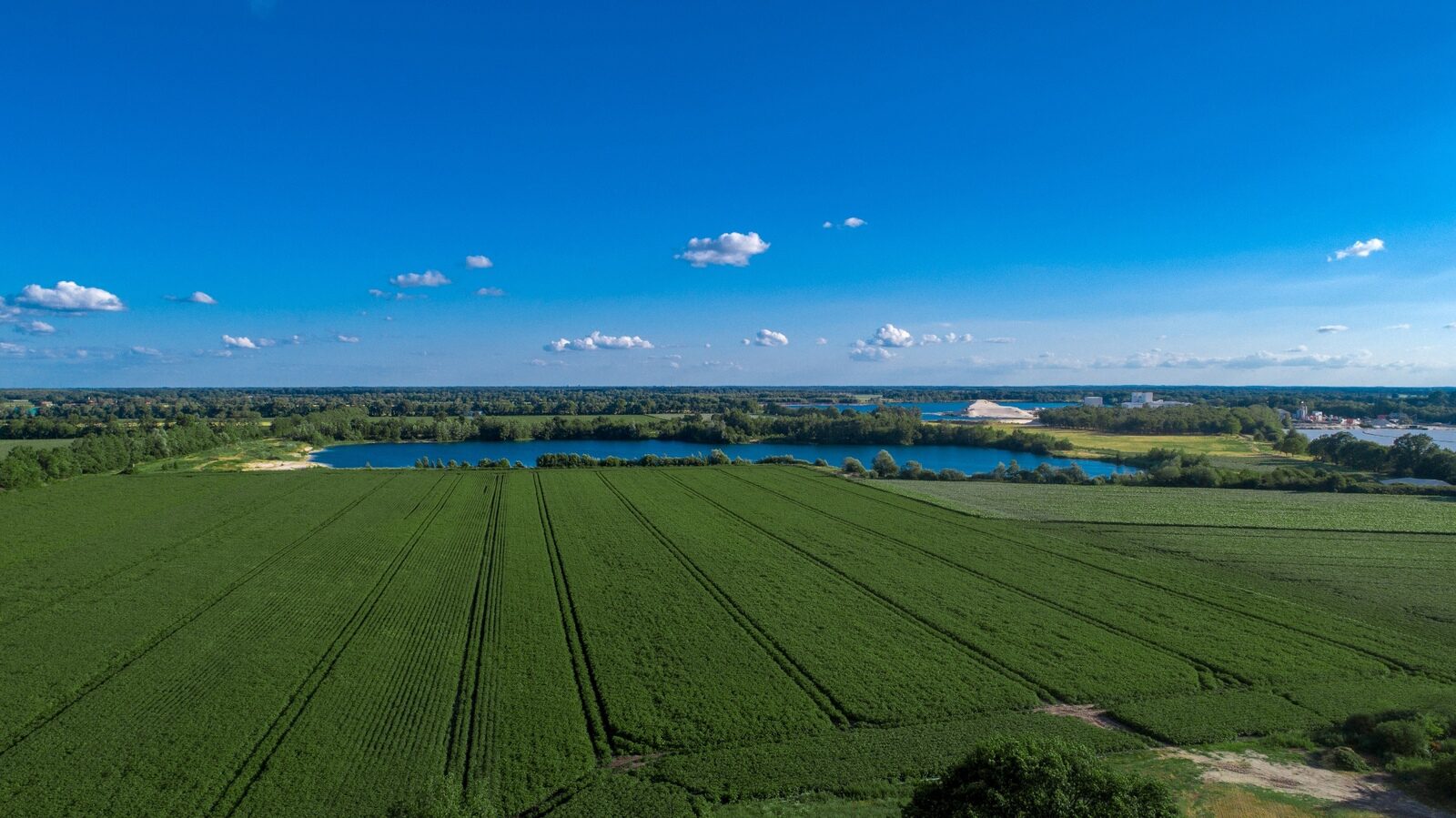 Landhuis Wielen 3 – XXL wellness vakantiehuis met sauna en jacuzzi