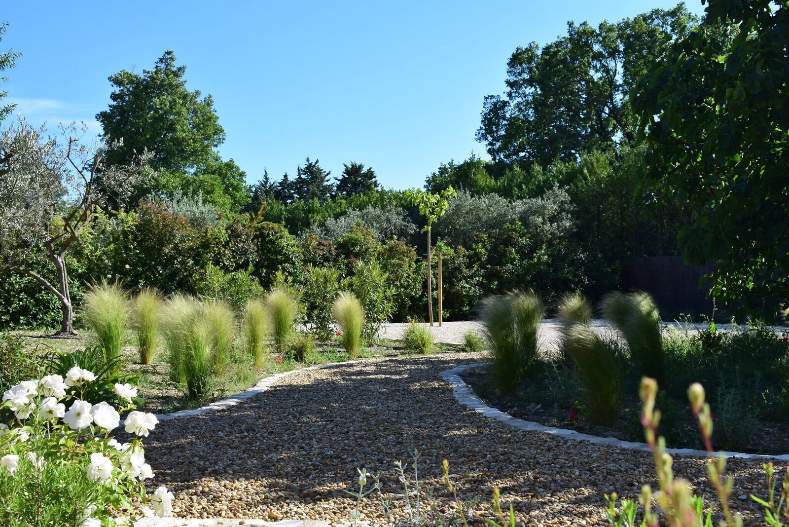 Mas du Grand Figuier met prachtige tuin en zwembad