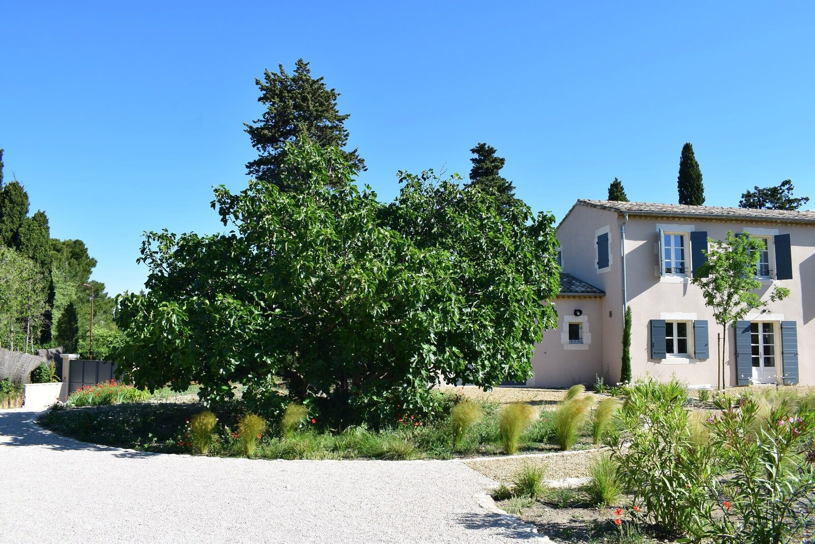 Mas du Grand Figuier met prachtige tuin en zwembad