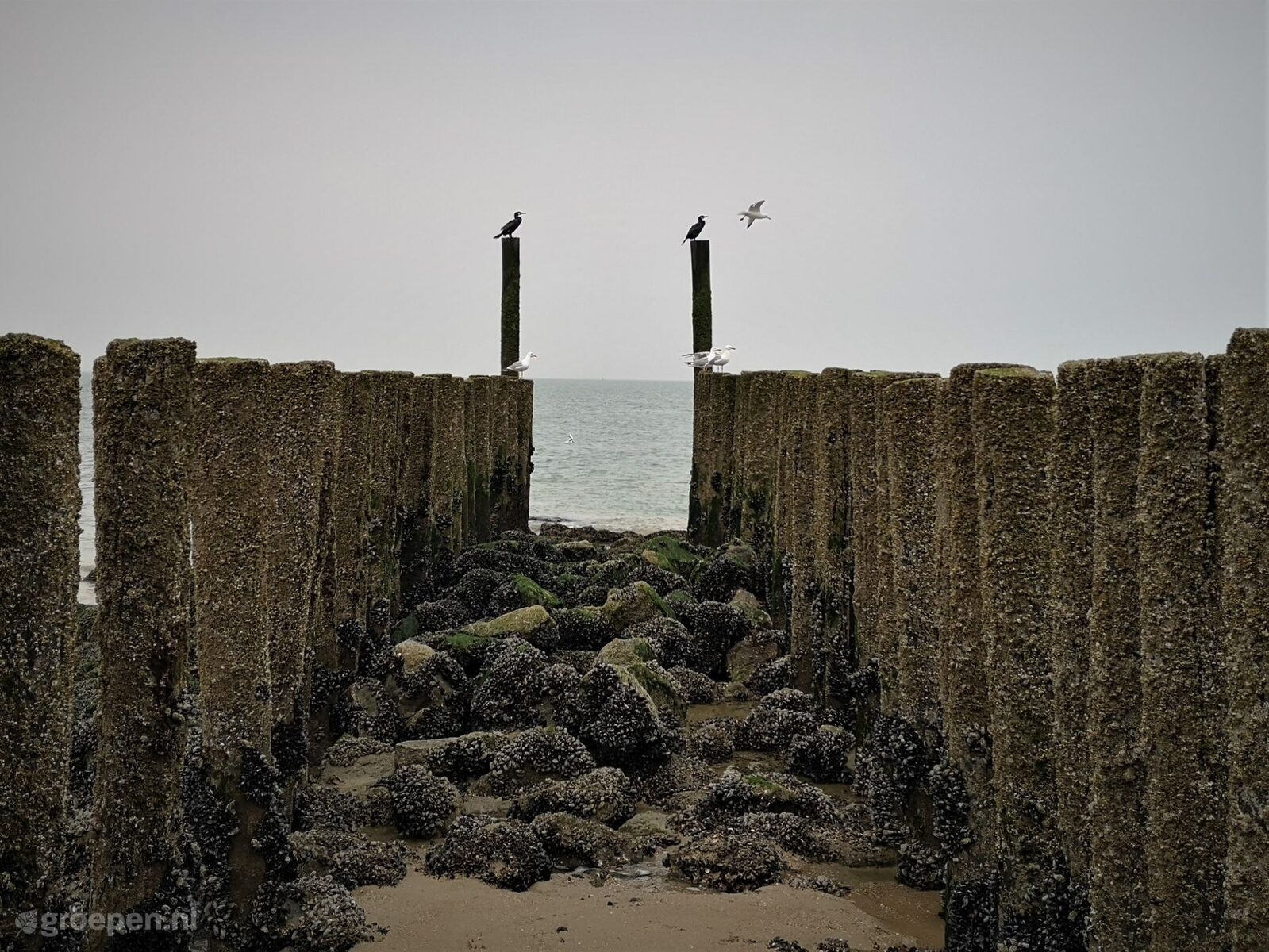 Wallpaper Holidayhome In Holidayhome Koudekerke Zeeland For 60 Persons Desktop Wallpaper Free