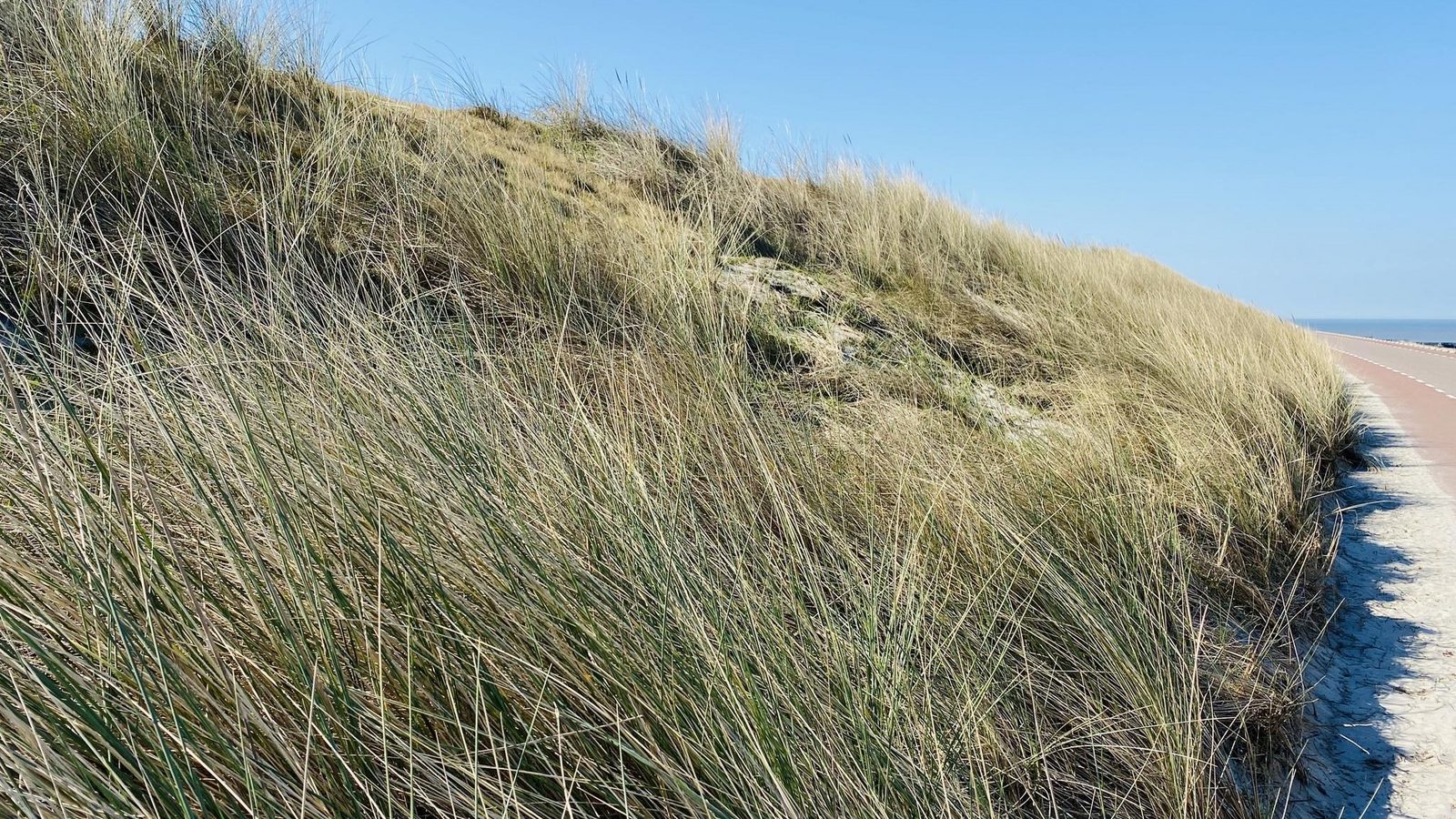VZ257 Vakantiewoning Aagtekerke