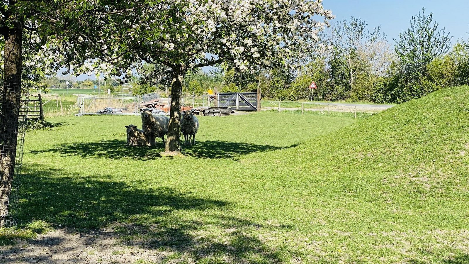VZ178 Vakantiehuis Zoutelande