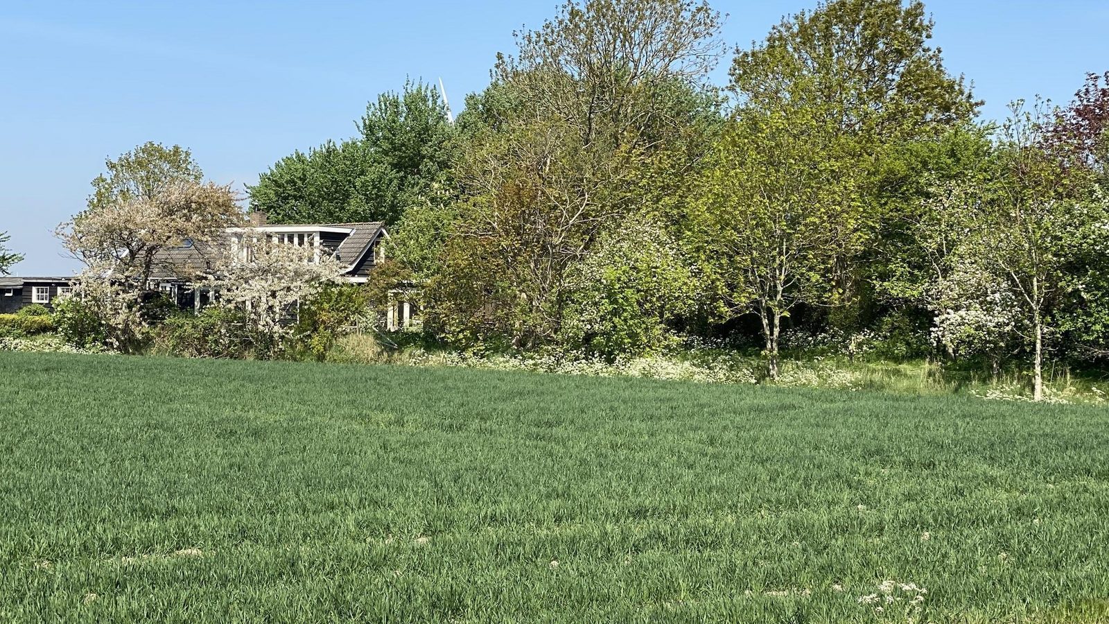 VZ184 Vakantiehuis Kamperland