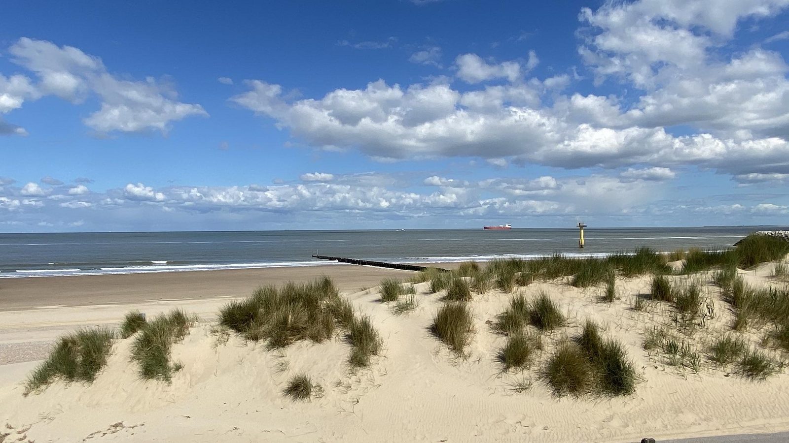 VZ193 Appartement Cadzand