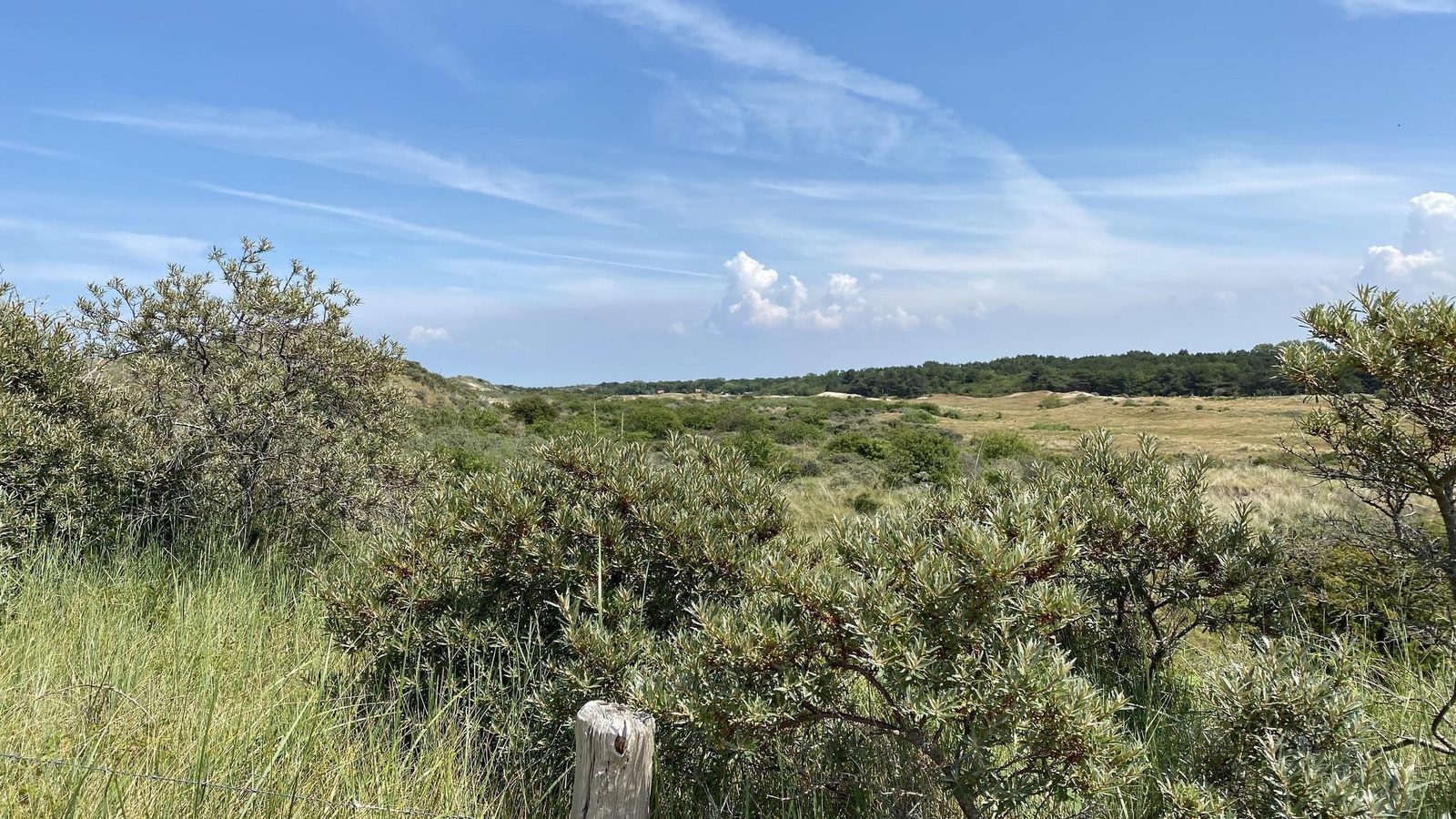 VZ642 Vakantiechalet Renesse