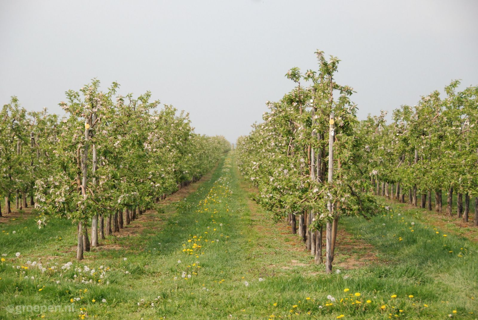 Vakantiehuis Voerendaal