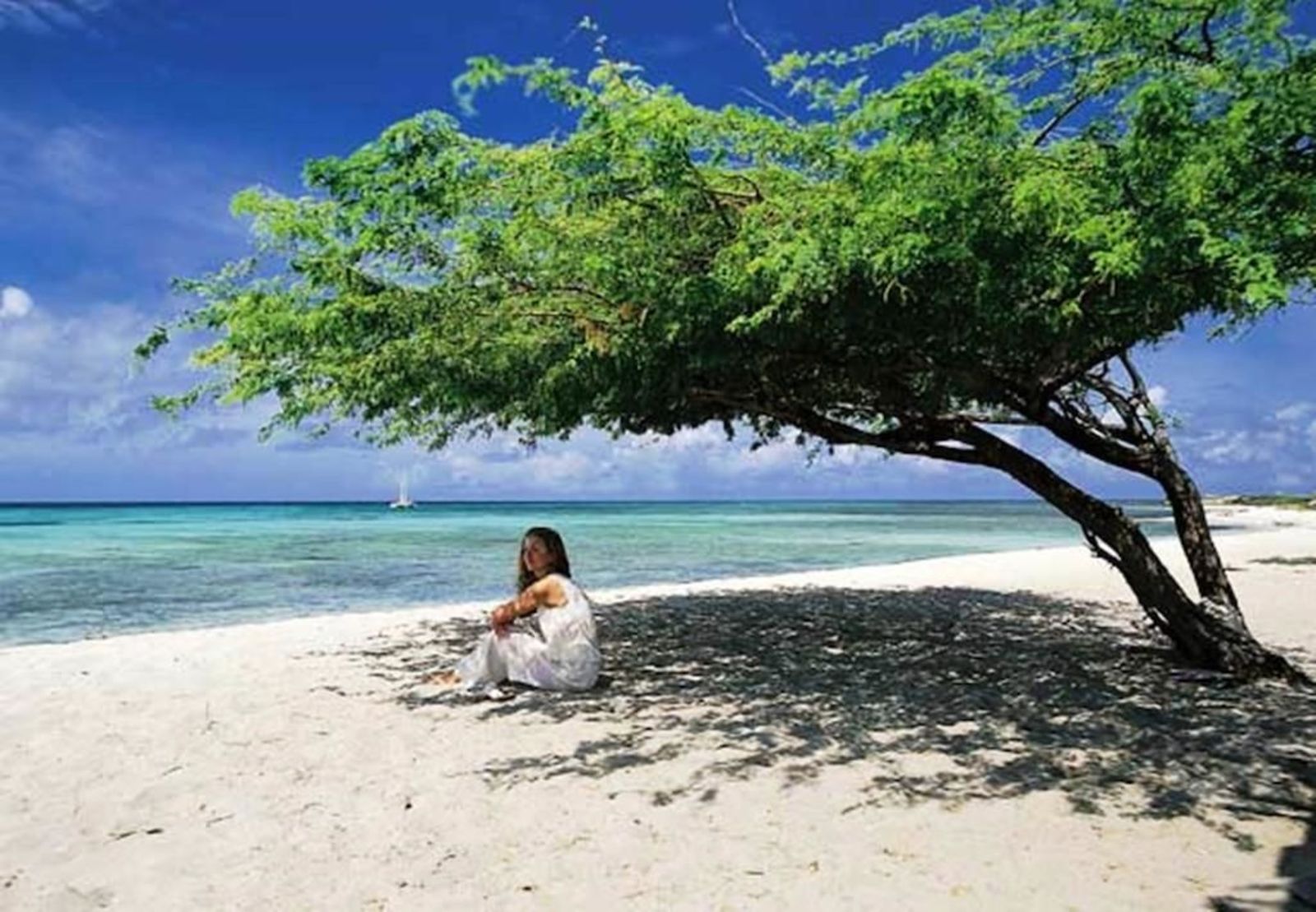 Marriott's Aruba Surf Club, 2-Bedroom