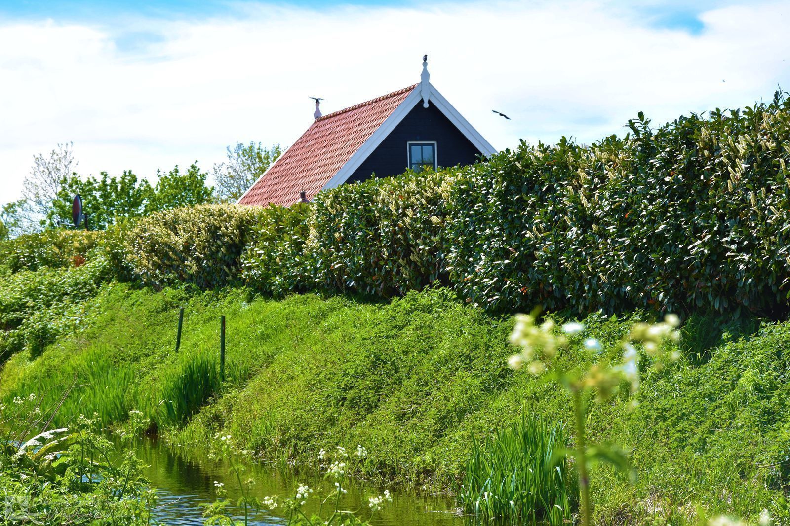 VZ704 Vrijstaand Vakantiehuis Renesse