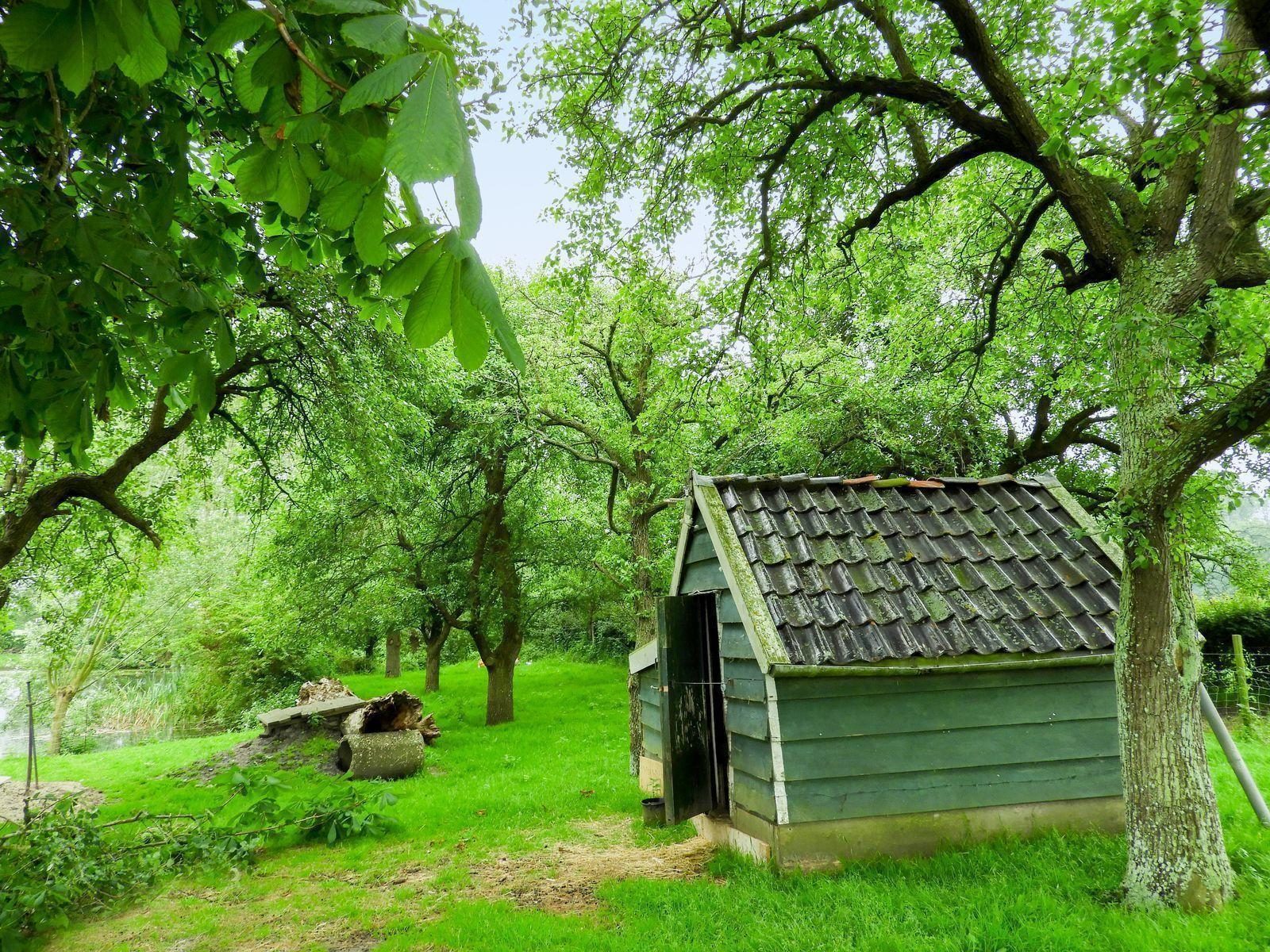 VZ646 Vakantiehuis Grijpskerke