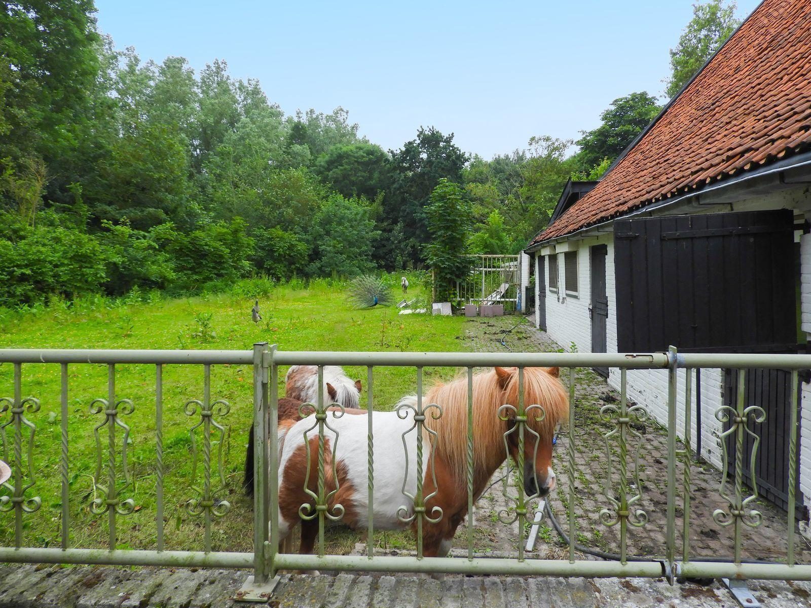 VZ076 Groepsaccommodatie Noordwelle
