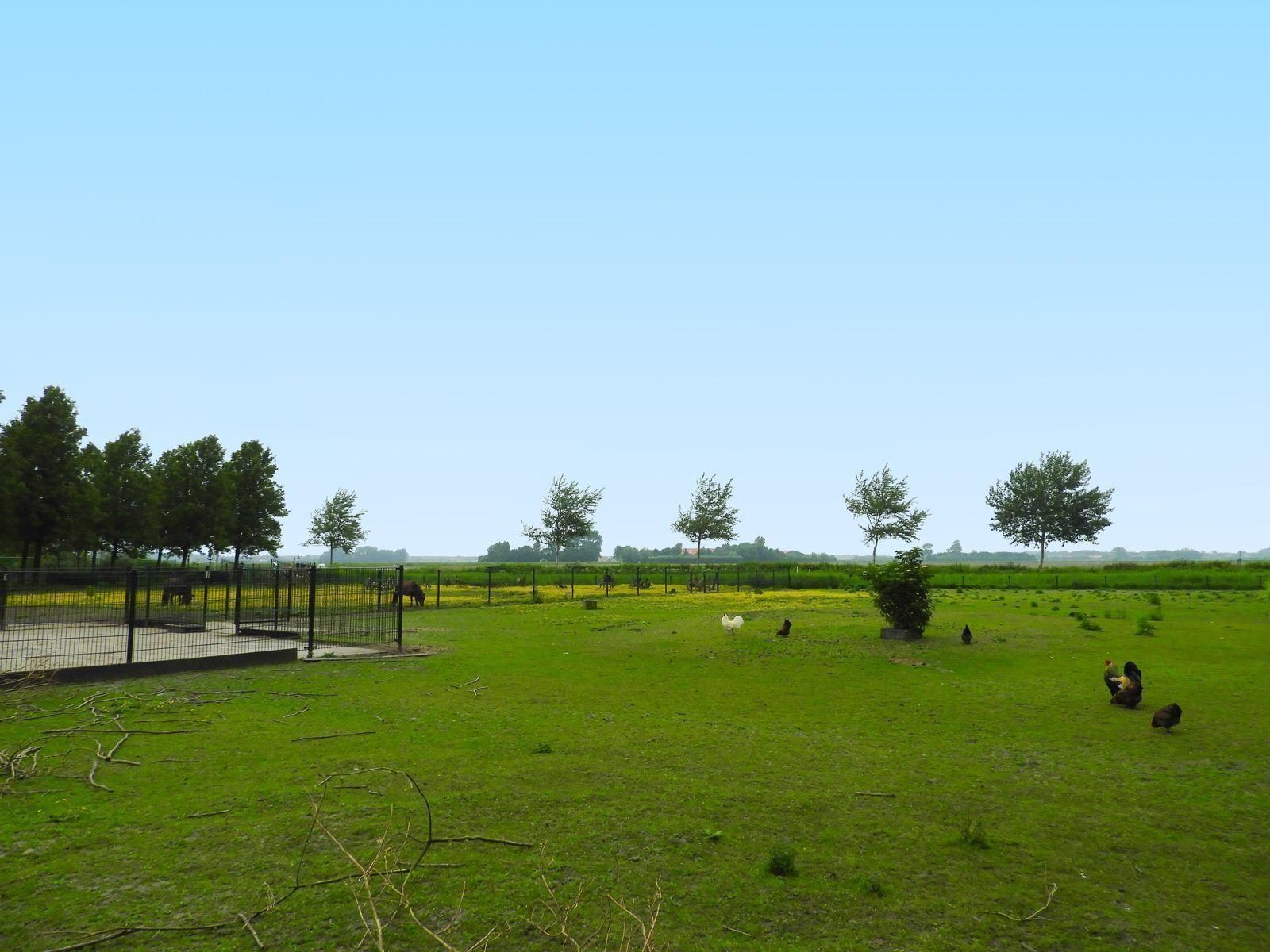 VZ076 Groepsaccommodatie Noordwelle