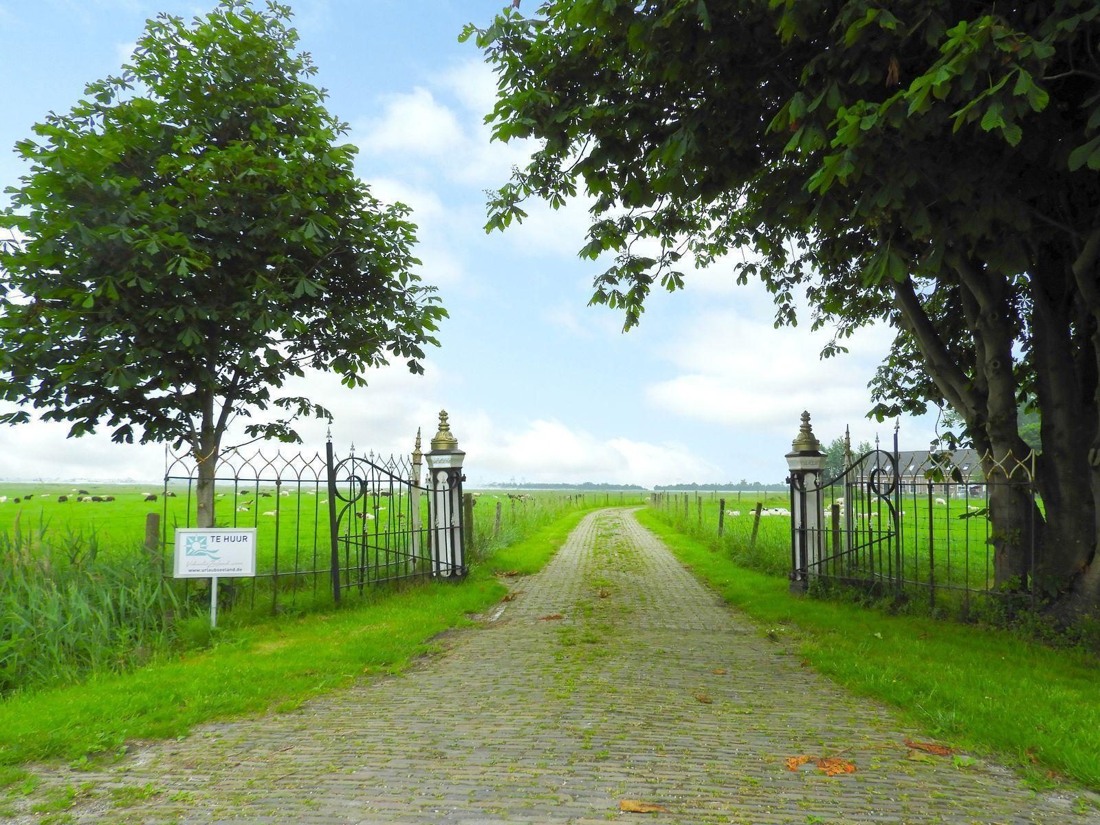 VZ646 Vakantiehuis Grijpskerke