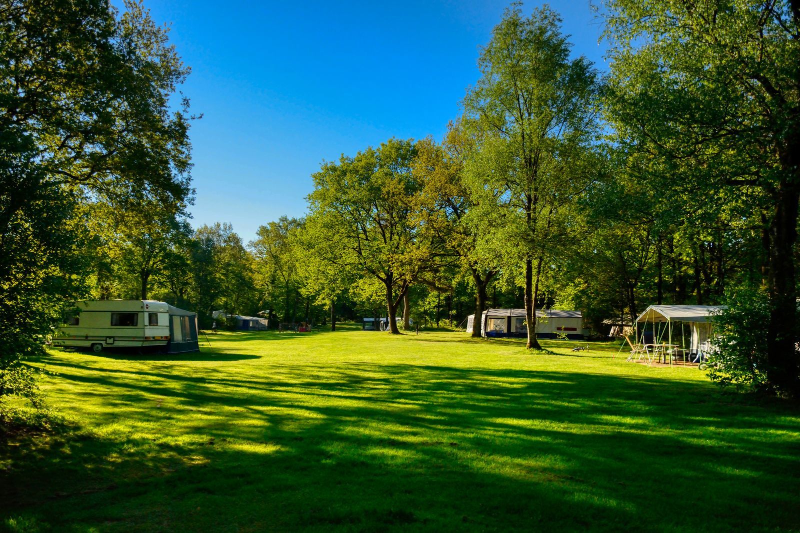 Camping with Dogs in Drenthe | De BerenKuil Sport en vakantie Kamperen, wandelen Kamperen, wandelen